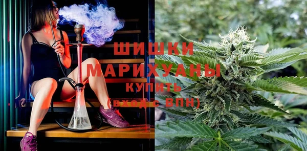 хмурый Белокуриха