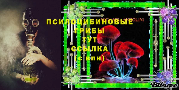 хмурый Белокуриха