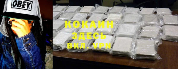 хмурый Белокуриха
