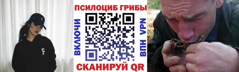 Псилоцибиновые грибы прущие грибы  Купить закладки  Прохладный 